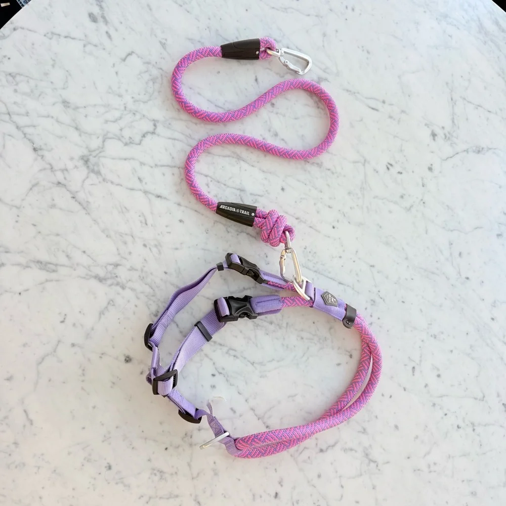 Arcadia Trail rope dog harness and leash in pink and purple